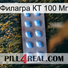 Филагра КТ 100 Мг viagra3